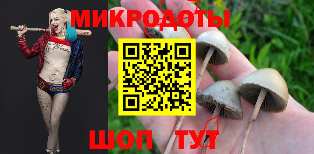 Губкин  Галлюциногенные грибы GOLDEN TEACHER  Вход с VPN 