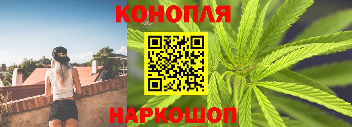 Бошки Шишки семена  Вход с VPN  Канабис MAZAR  Конопля индика  Губкин  МАРИХУАНА тримм 